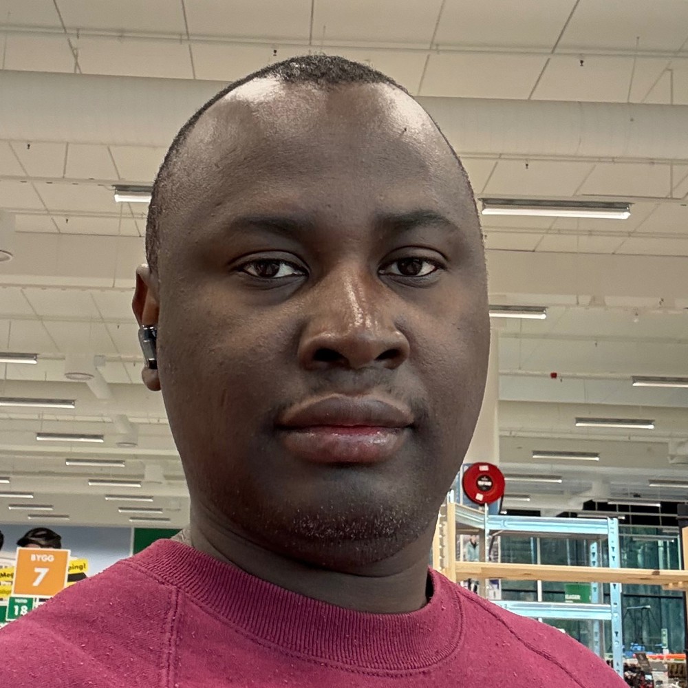 Profile image of Nicholas Kwaku Agyei